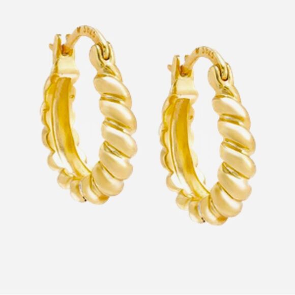 Adina Eden Graduated Twist Hoop Earrings - Picture 1 of 6